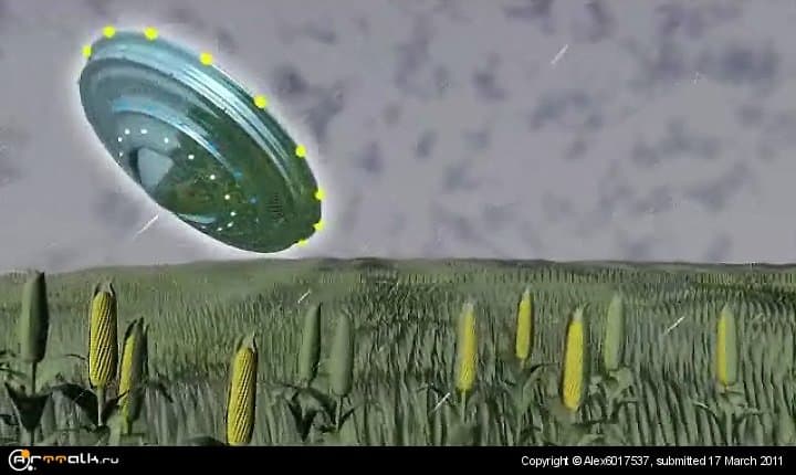 Кукурузное поле