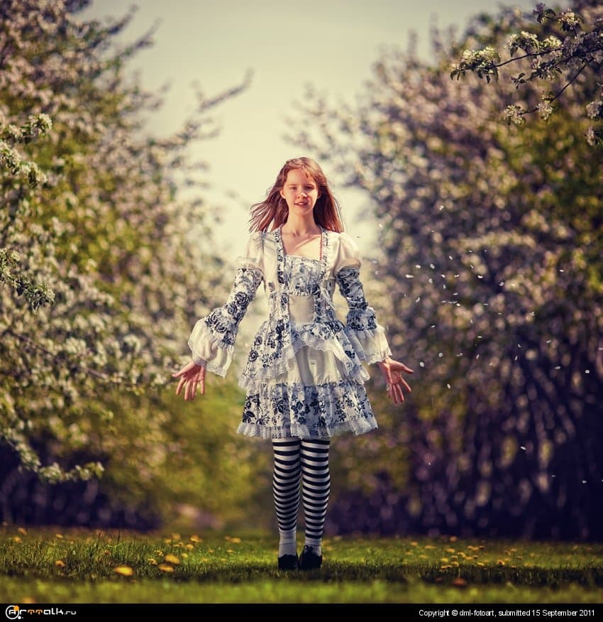 Alice''s Dream Ii