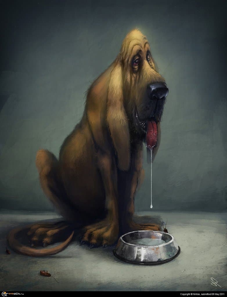 Bloodhound
