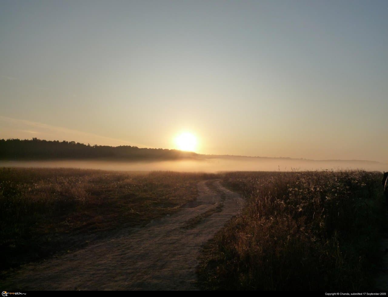Навстречу туману