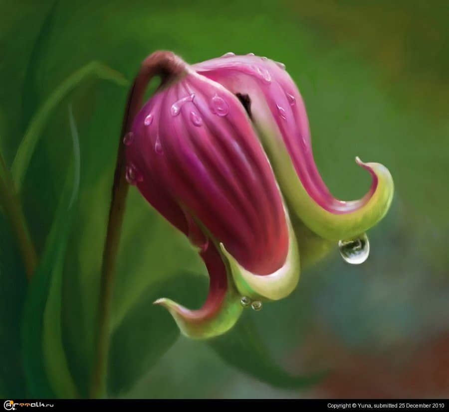 Колокольчик