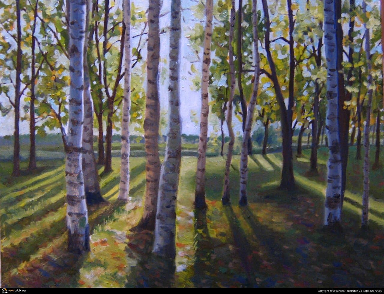 Берёзовая роща