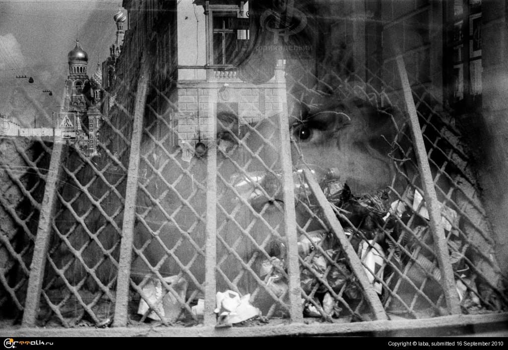 Перспектива