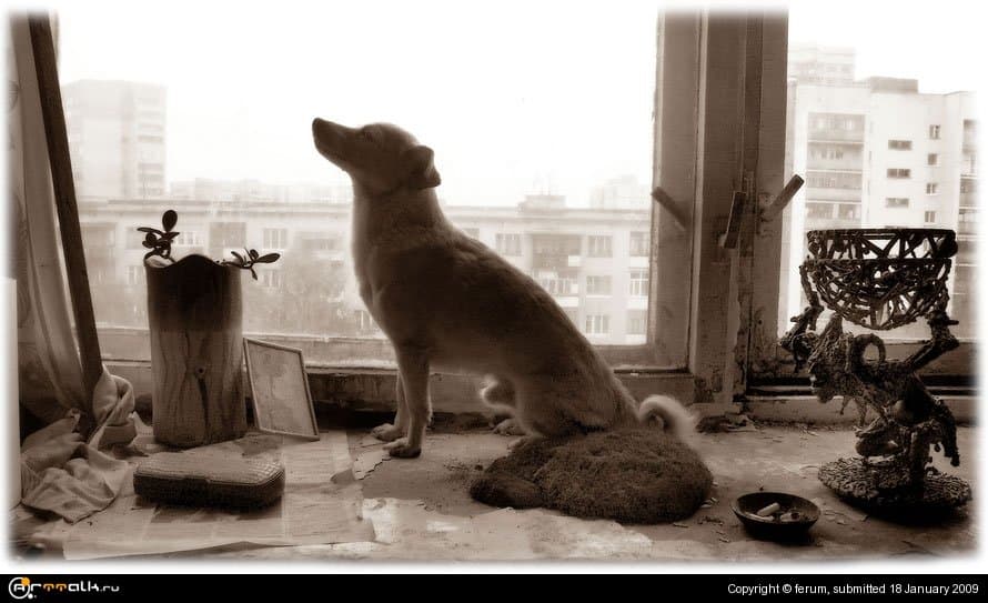 ...сними меня так...