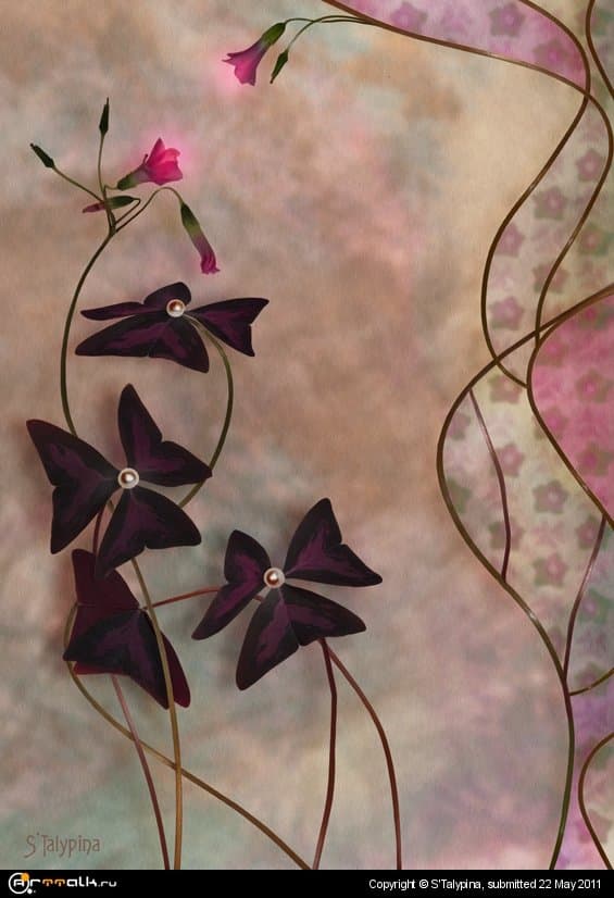 Домашнее очарование