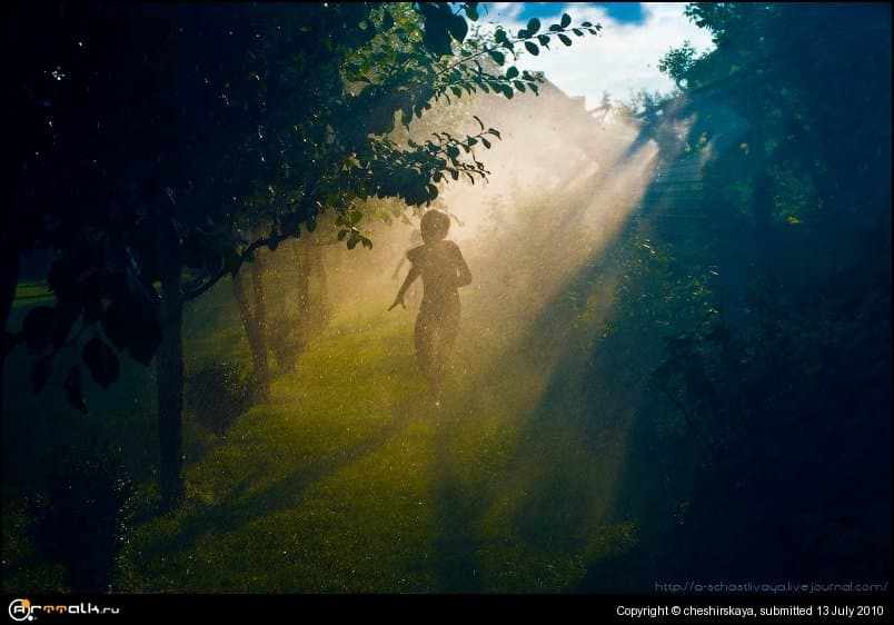Running Under The Trees... Drops And Light