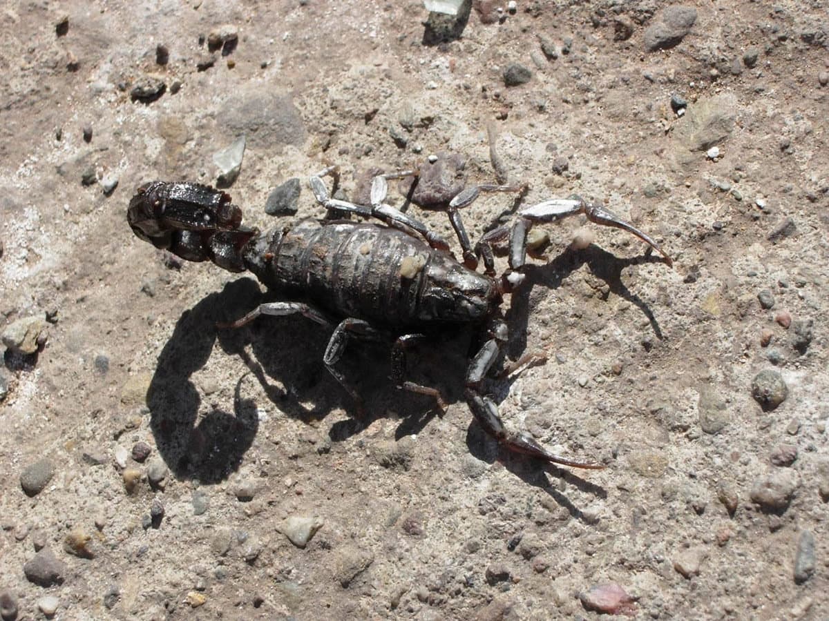 сами знаете кто ))