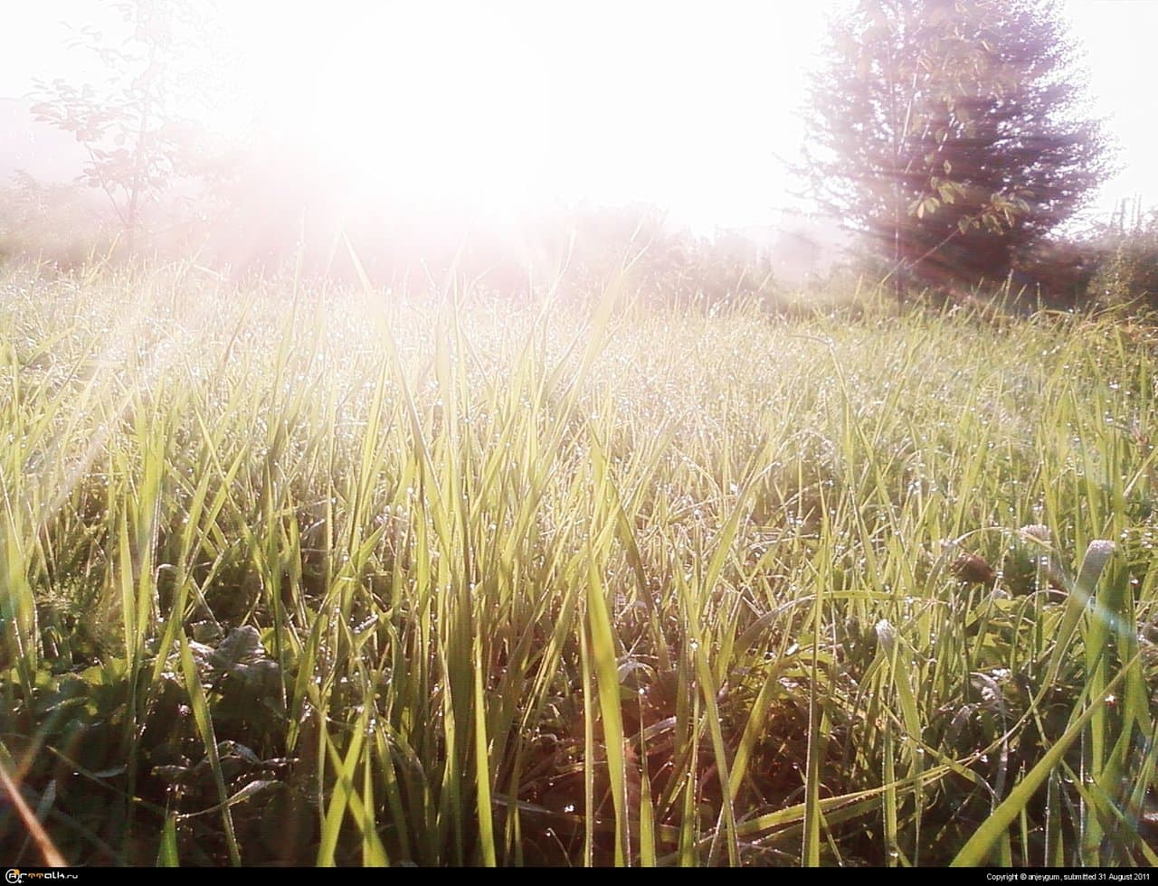 день чудесный