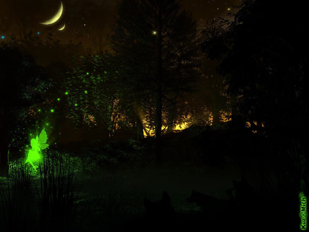 Вечер в лесу