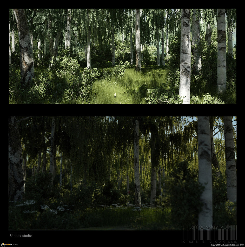 берёзовая роща