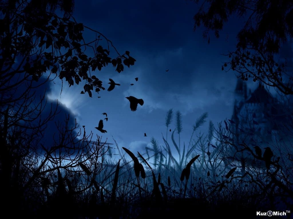 Пасмурный день