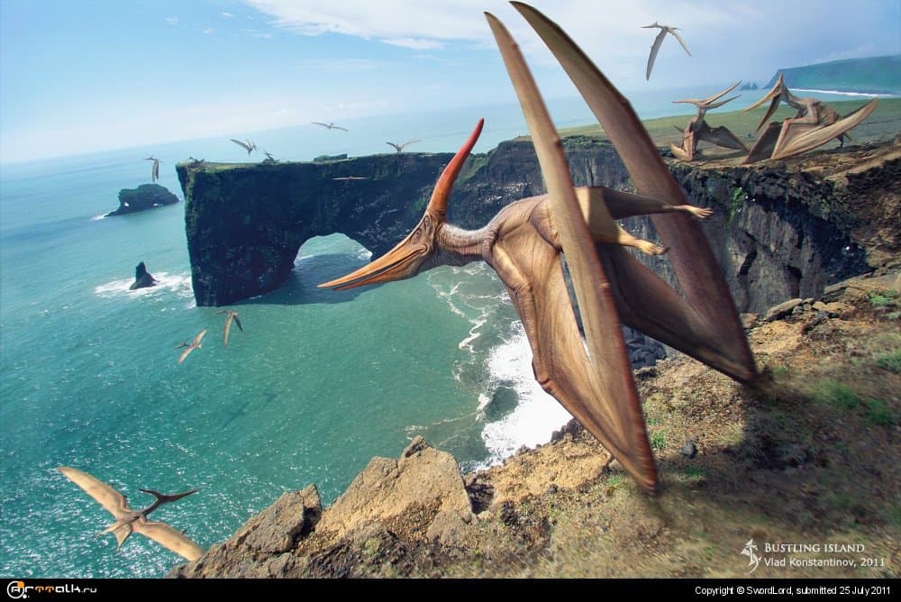 Шумный остров