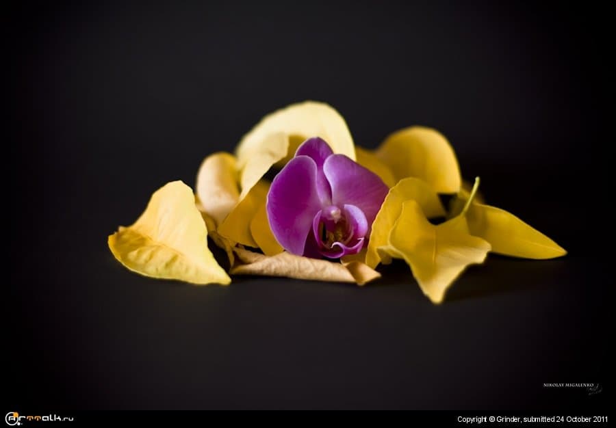 Легкие воспоминания