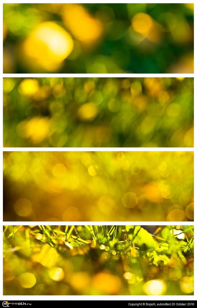 Осенний блюр I