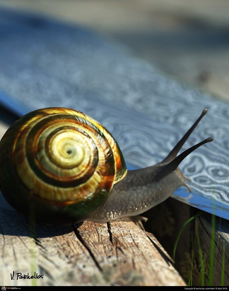 Макро(улитка)