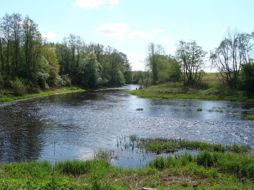 пойдем на рыбалку?