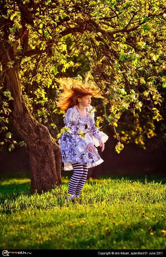 Alice Grasshopper