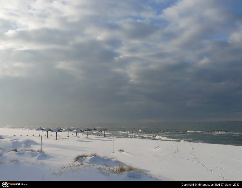 Грибная аллея.