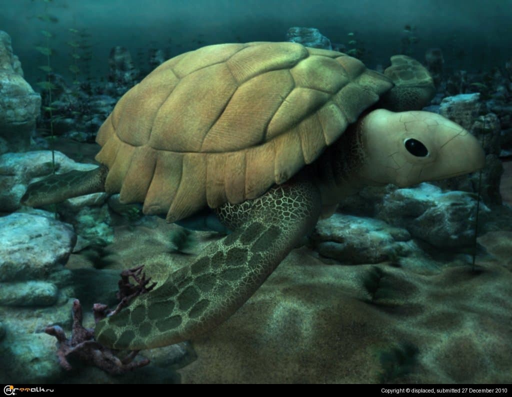 Морская черепаха