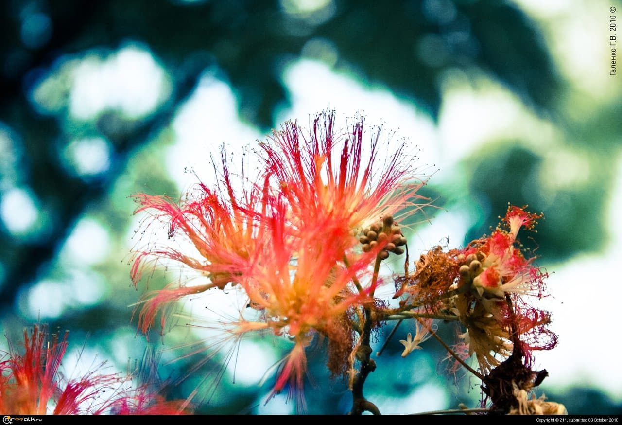 Еще одно изображение