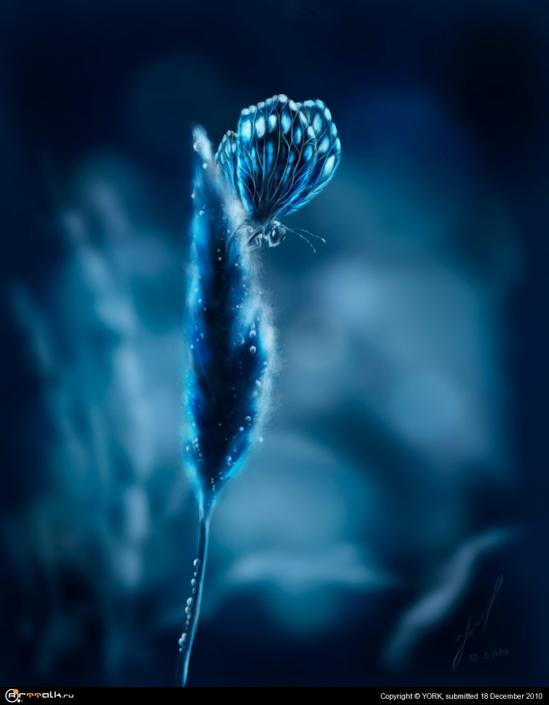 Тшпре Butterfly