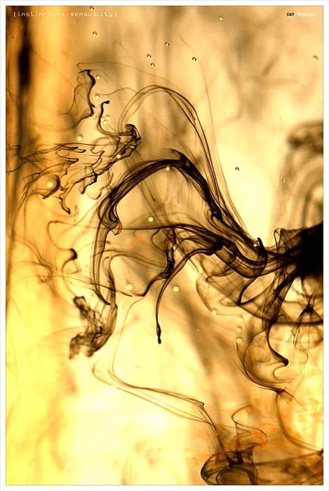 Эмоции/бессознательное - чувственность