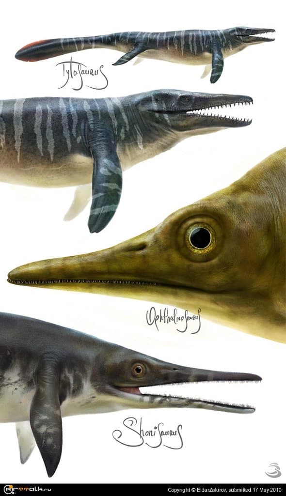 Мезозойские товарищи