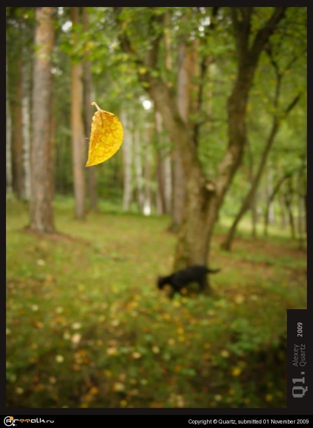 Ekaterenburg Hues Of Autumn 2009