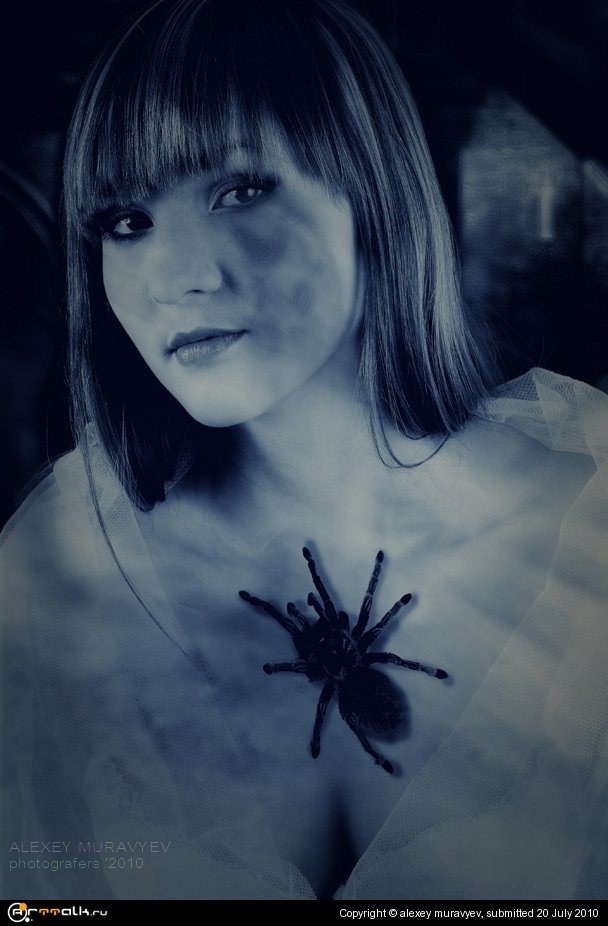 The Black Widow