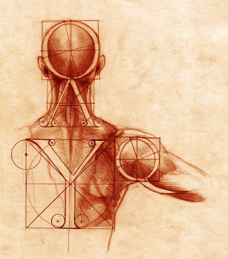 Анатомия и шрифт