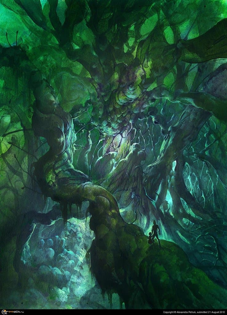 Лесная прогулка