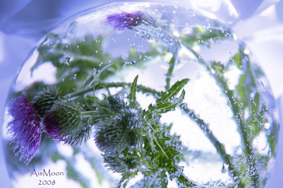 Планета літньої фантазії