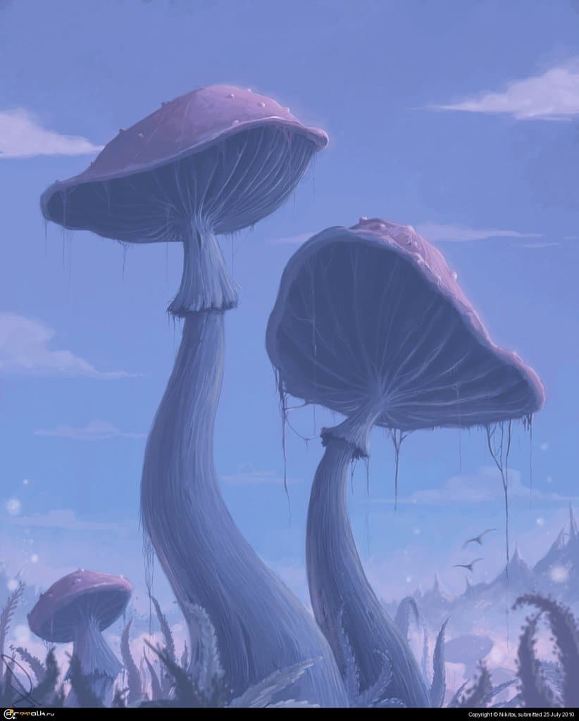 Псилоцибе андромедное