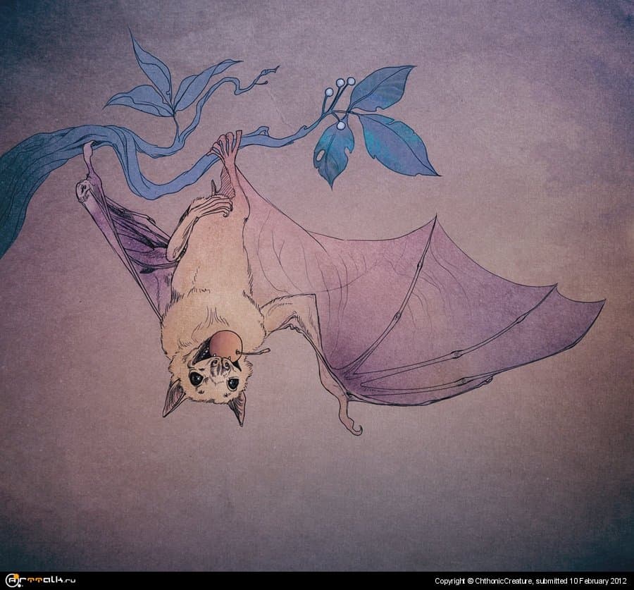 Нильский крылан