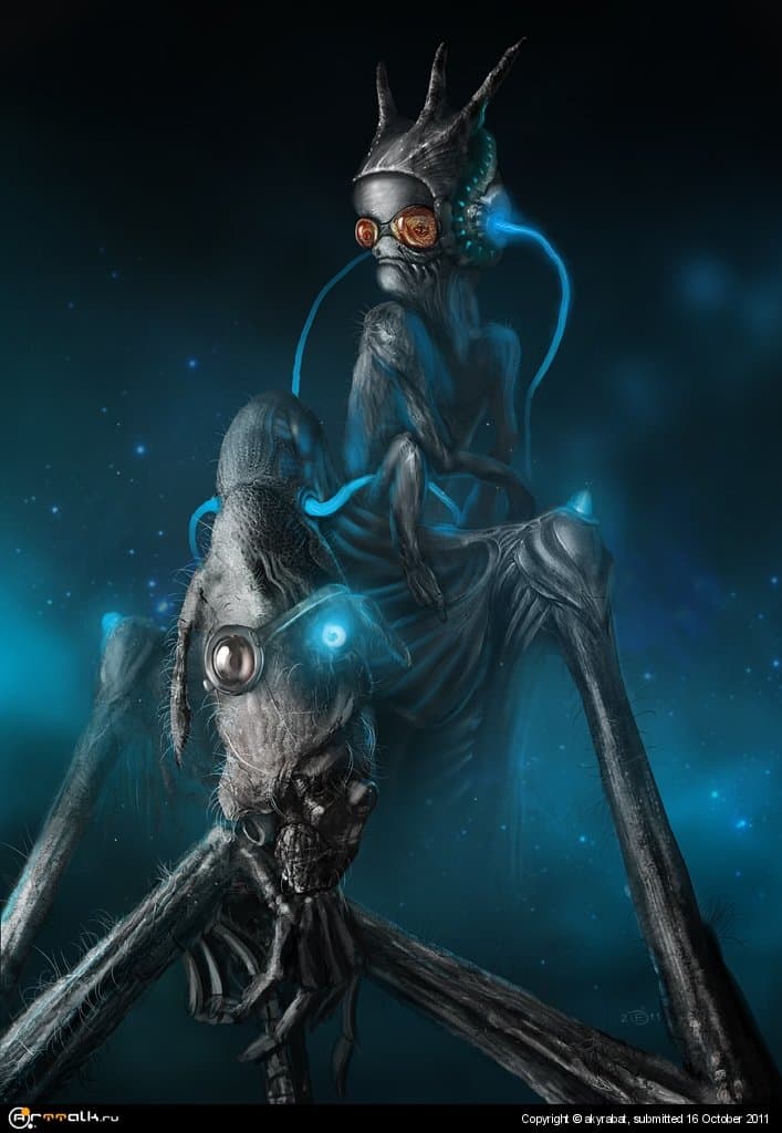 Пираты меломаны