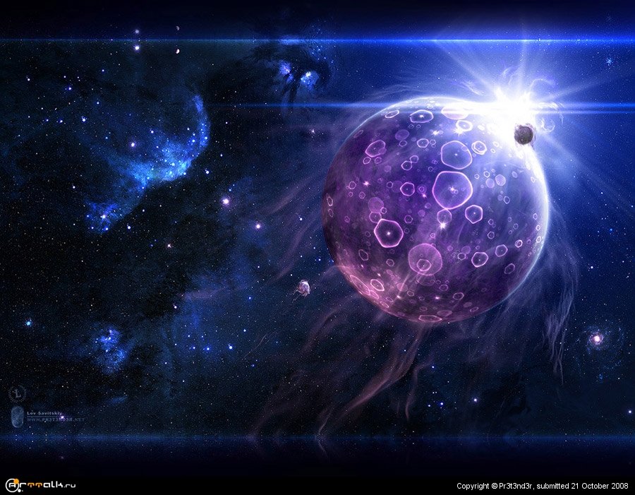 Jellyfish | Медузы