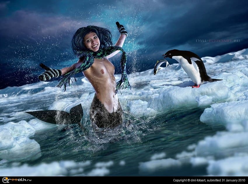 В Антарктиду пришла весна