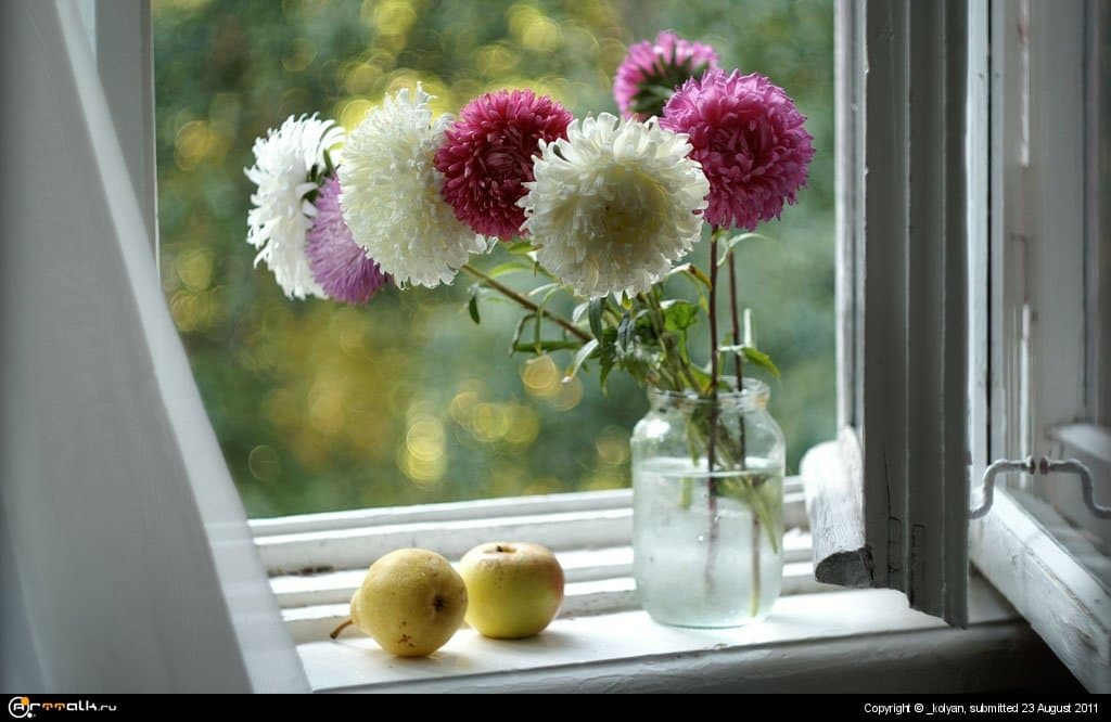 Скоро осень