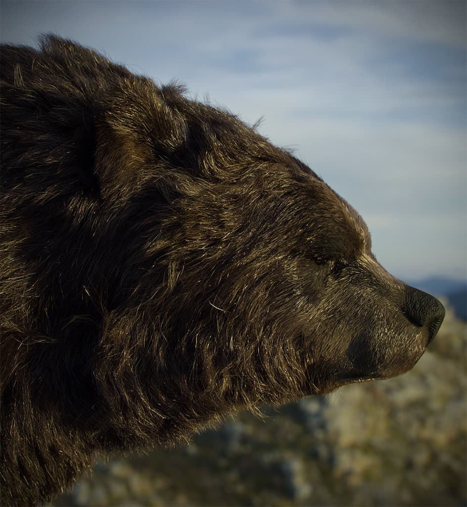 Hair&Fur&Feathers + Lookdev+Render&Lighting for Bear rider(collaboration with Maria Panfilova)