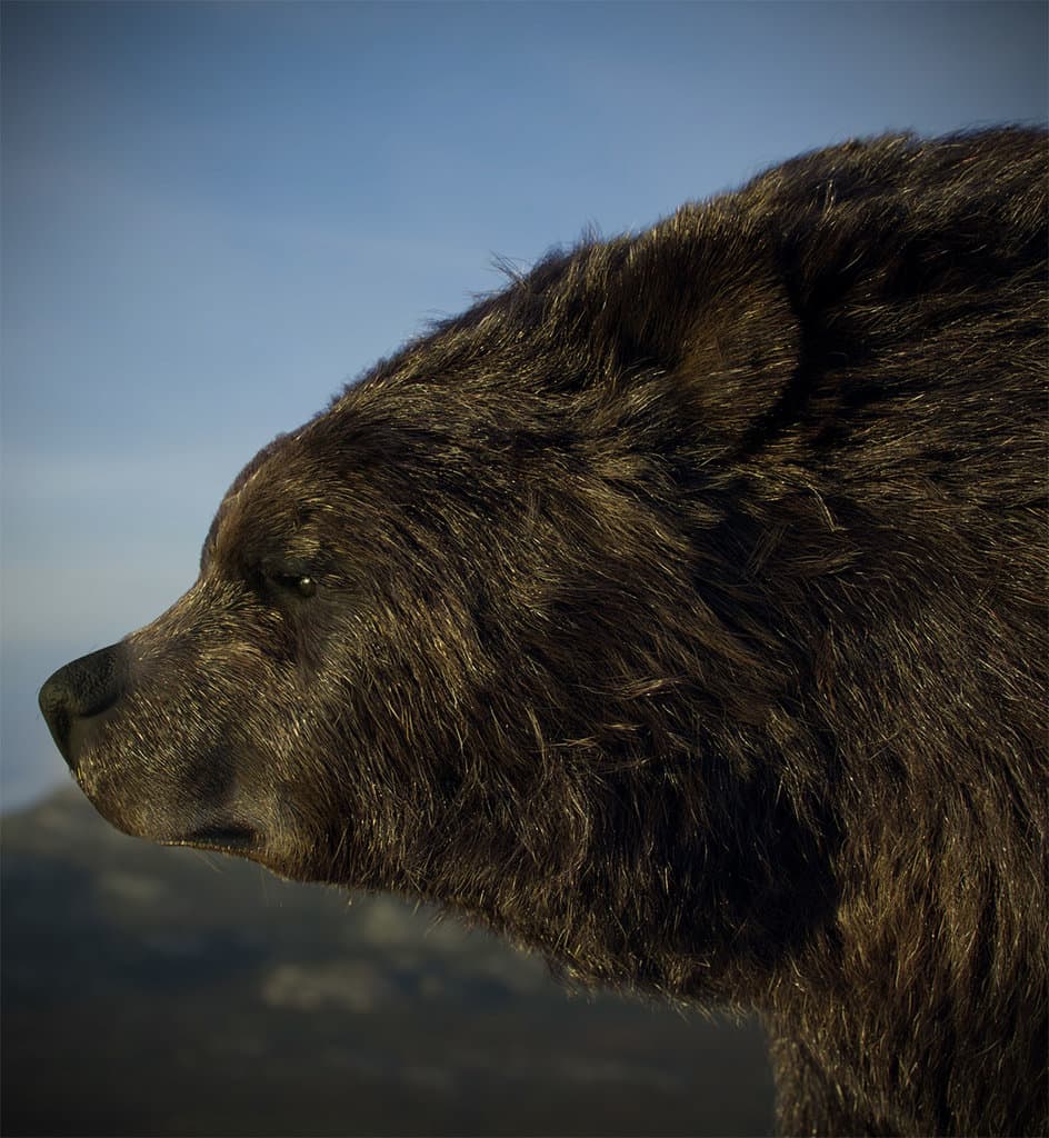 Hair&Fur&Feathers + Lookdev+Render&Lighting for Bear rider(collaboration with Maria Panfilova)