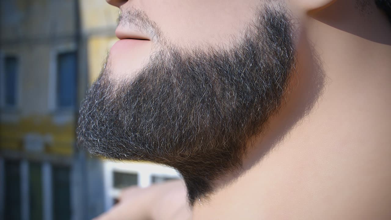 Ornatrix grooming for Joseph