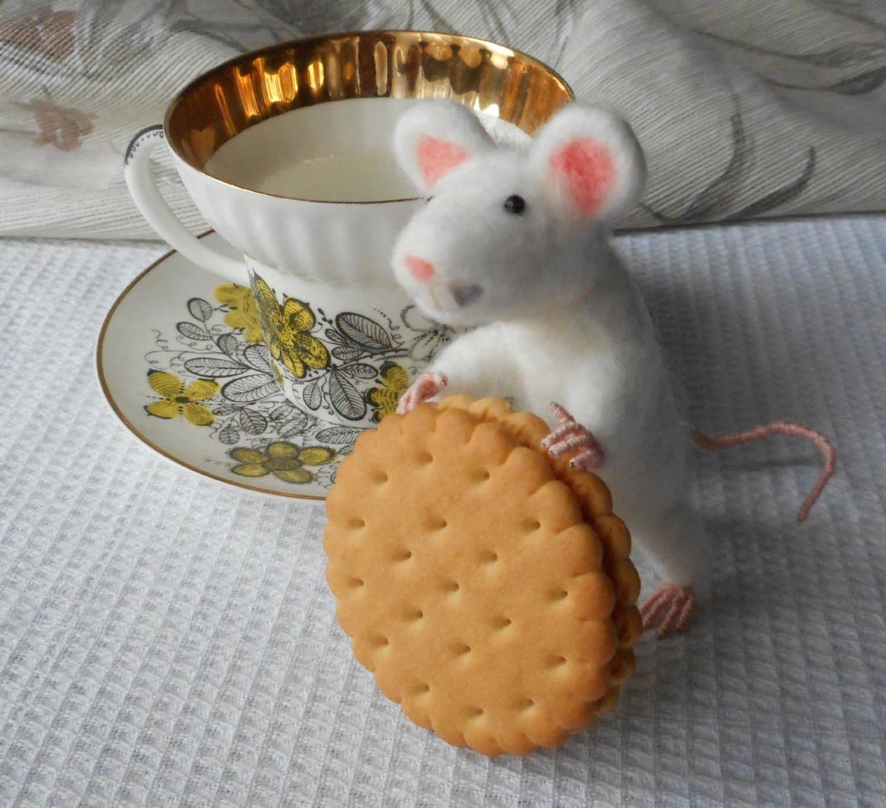 Белая крыска